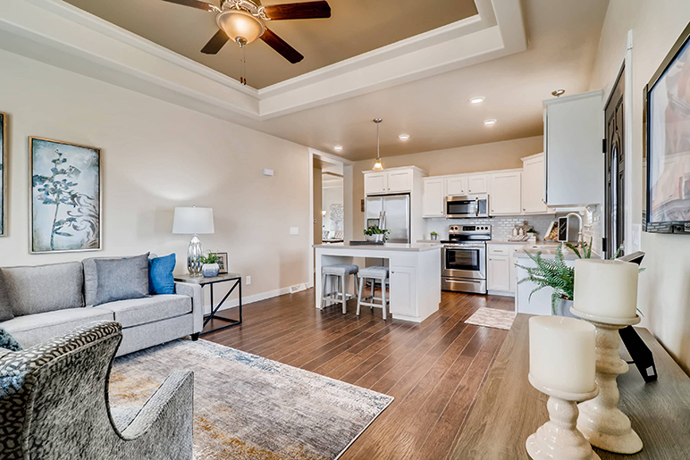 6250 Indian Paintbrush Street-print-033-033-Living Room-3600x2400-300dpi[2]